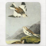 Snow Bunting - John James Audubon Mouse Pad