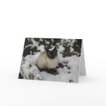 Snow Cat cards