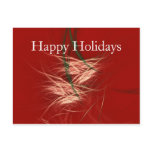 SNOW CONES POSTCARDS