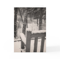 Snow Covered Benches