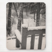 Snow Covered Benches