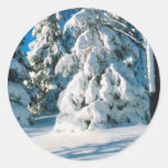Snow Covered Evergreens Round Sticker