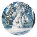 Snow Covered Evergreens stickers