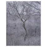 Snow-covered flora and trees in Upstate New York flyers