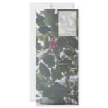 Snow Covered Holly rack cards