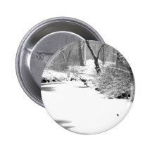 Snow Covered Stony Creek Pin