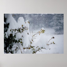Snow covered tree poster