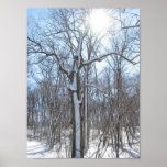 Snow crossing posters