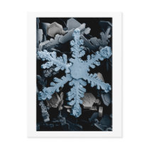 Snow Crystal 2