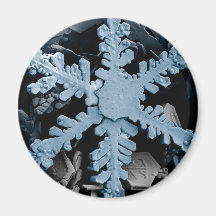 Snow Crystal 2 Refrigerator Magnets