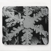 Snow Crystal