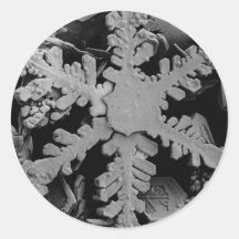 Snow Crystal Sticker
