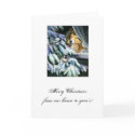 Snow Days cards
