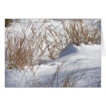 Snow Drift/Weeds Card