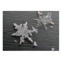 Snow Flake 45 ~ ATC Business Card Templates