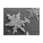 Snow Flake 45 ~ postcard