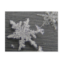 Snow Flake 45 ~ postcard