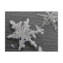 Snow Flake 45 ~ postcard