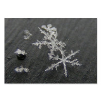 Snow Flake 49 ~ ATC Business Card Templates