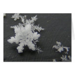 Snow Flake 73 ~ card