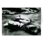 Snow Frogs Greeting Cards
