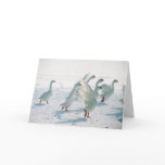Snow Geese
