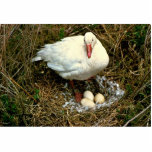 Snow Goose on Nest photo sculptures