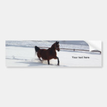 Snow Horse Bumper Stickers