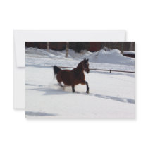Snow Horse