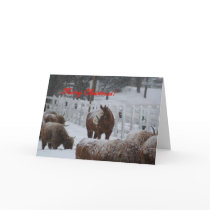 Snow horse, Merry Christmas!