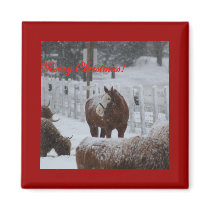 Snow horse, Merry Christmas!