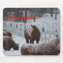 Snow horse, Merry Christmas!