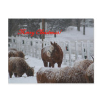 Snow horse, Merry Christmas!