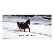 Snow Horse
