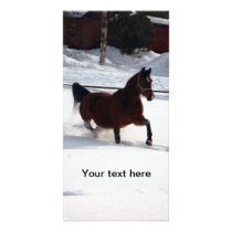 Snow Horse