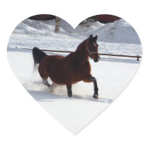 Snow Horse