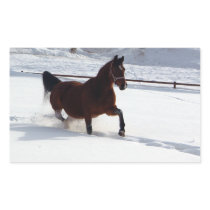 Snow Horse