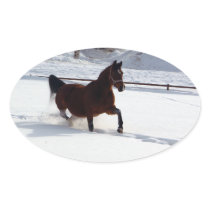 Snow Horse