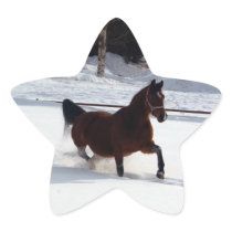 Snow Horse