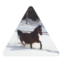 Snow Horse