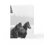 Snow Horses