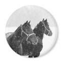 Snow Horses magnets