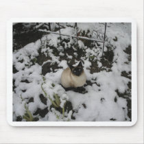 Snow Images, Snow Cat Mouse Mats
