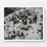 Snow Images, Snow Cat mousepads