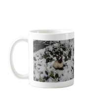 Snow Images, Snow Cat Coffee Mugs