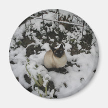 Snow Images, Snow Cat Refrigerator Magnet