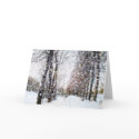 Snow Landscape Merry Christmas Card