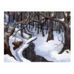 Snow Landscape Print Postcard