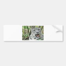 Snow Leopard 2 Bumper Stickers
