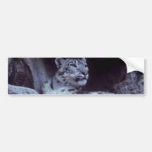 Snow Leopard Bumper Stickers